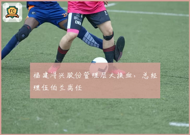 福建浔兴股份管理层大换血，总经理伍伯兰离任