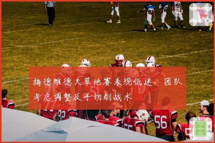 梅德维德夫草地赛表现低迷，团队考虑调整反手切削战术